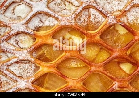 Primo piano di torta di mele dorata con crema pasticcera e zucchero a velo Foto Stock