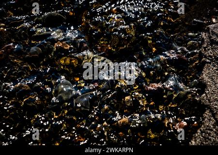 Acqua fluente poco profonda su una spiaggia. Foto Stock