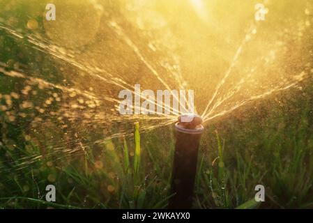 Irrigatore automatico per innaffiare il prato da vicino durante l'alba. Sistema di irrigazione. Foto Stock