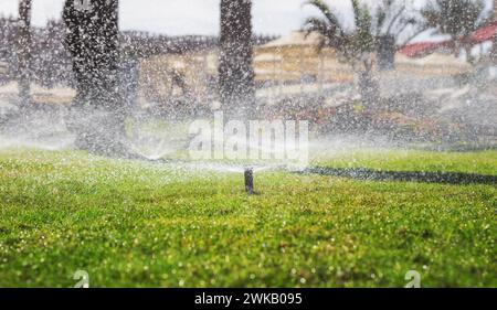 Sistema di irrigazione. Irrigatori che innaffiano erba verde sul prato. Foto Stock