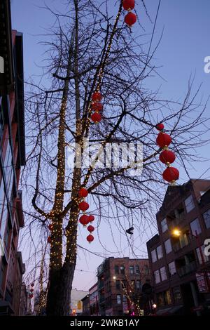 Le decorazioni delle lanterne del capodanno cinese pendenti dai rami di un albero a Chinatown, Pender Street, Vancouver, BC, Canada Foto Stock