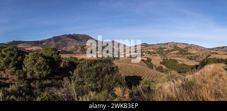 Vue panoramique sur Cosprons, les vignobles e la tour di Madeloc Foto Stock