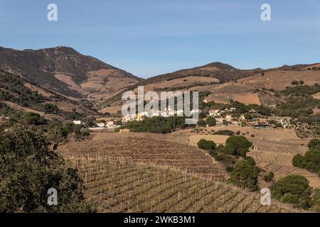 Vue panoramique sur les vignobles, et Cosprons Foto Stock