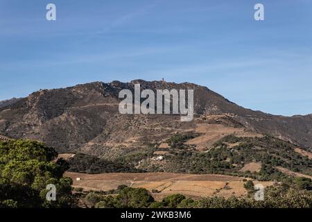 Vue panoramique sur les vignobles et la tour di Madeloc Foto Stock