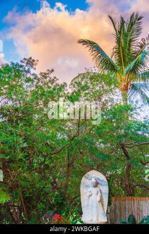 Statua del Buddha presso il resort tropicale sull'isola di Maui nelle Hawaii. Foto Stock