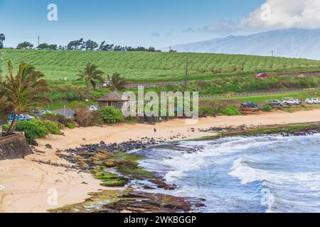 Prima tappa sulla strada di Hana tour, Ho'okipa Beach Park, famosa per i surfisti e spiagge di sabbia bianca. Foto Stock