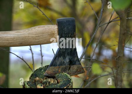 Ascia con manico in legno marrone e testa nera incastonata in un pezzo di legno o ceppo d'albero in una foresta o in un ambiente naturale all'aperto con gr sfocati Foto Stock