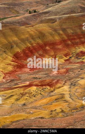 Colline dipinte da Carroll Rim Trail, John Day Fossil Beds National Monument-Painted Hills, unità di Oregon Foto Stock