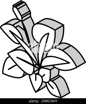 illustrazione vettoriale dell'icona isometrica anubia nana Illustrazione Vettoriale