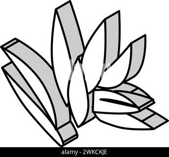 illustrazione vettoriale dell'icona isometrica di cryptocoryne wendttii Illustrazione Vettoriale