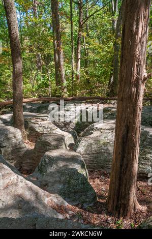 Stones River National Battlefield nella contea di Rutherford, Tennessee, Stati Uniti Foto Stock