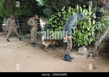 Aumenta la sicurezza prima della visita del pomeriggio Narendra modi 19 febbraio 2024, Jammu, India: I soldati paramilitari indiani controllano una strada con un cane da caccia fuori dallo stadio Maulana Azad prima della visita del primo Ministro Narendra modi a Jammu. Jammu Kashmir India Copyright: XFirdousxNazirxxEyepixxGroupx Foto Stock