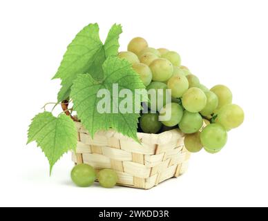 Grappoli d'uva. sfondo autunnale. Varietà di uve mature colorate come simbolo dell'abbondanza autunnale. Cestello con uva. Vinificazione. Isolato. D Foto Stock