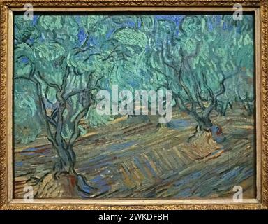 Olive Grove (1889) di Vincent van Gogh (1853-1890) Foto Stock