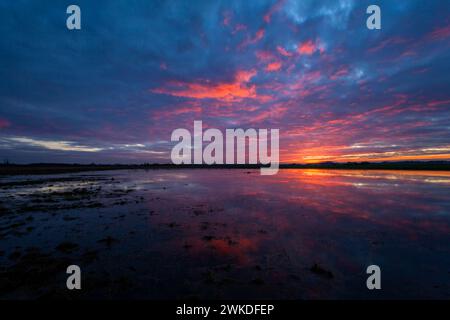 Nuvole e tramonto colorato su un prato bagnato Foto Stock