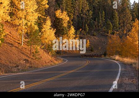 FOGLIAME AUTUNNALE SULLE MONTAGNE SANGRE DE CRISTO, SANTA FE, NEW MEXICO, USA Foto Stock