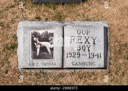 Una vecchia lapide a forma di libro per Rexy Boy che è passato nel 1941. Al cimitero Hartsdale Canine di Westchester, New York. Foto Stock