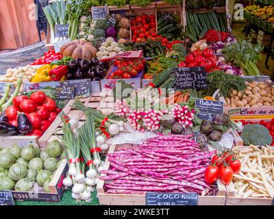 Vibrant assortment of fresh produce at the market. A colorful array of freshly picked vegetables showcasing the bounty of the season Foto Stock