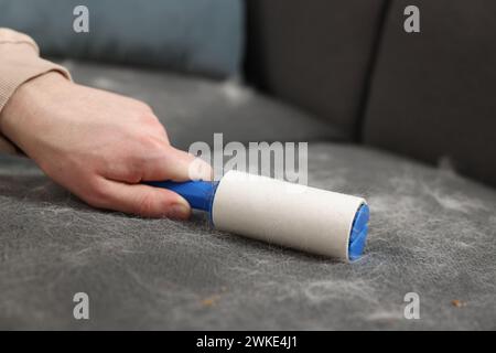 Spargimento di animali domestici. Uomo con rullo di lanugine che rimuove i capelli di cane dal divano, primo piano Foto Stock