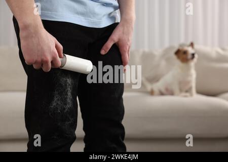 Spargimento di animali domestici. Uomo con rullo di lanugine che rimuove i capelli di cane dai pantaloni a casa, primo piano Foto Stock