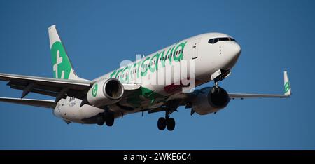 Tenerife, Spagna 18 febbraio 2024. Il Boeing 737-8HX Transavia Airlines vola nel cielo blu. Atterraggio all'aeroporto di Tenerife Foto Stock