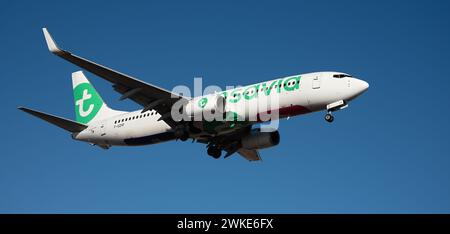 Tenerife, Spagna 18 febbraio 2024. Il Boeing 737-8HX Transavia Airlines vola nel cielo blu. Atterraggio all'aeroporto di Tenerife Foto Stock