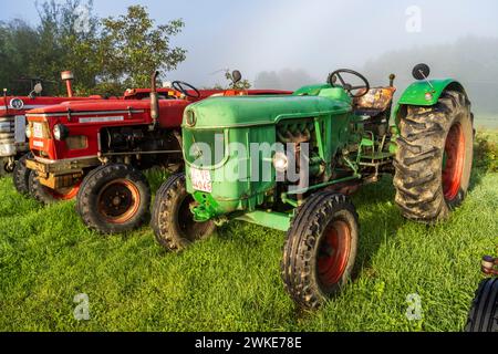 Vecchio trattore agricolo, Burguete, strada di Santiago, Navarra, Spagna. Foto Stock