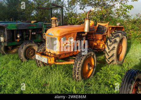 Vecchio trattore agricolo, Burguete, strada di Santiago, Navarra, Spagna. Foto Stock