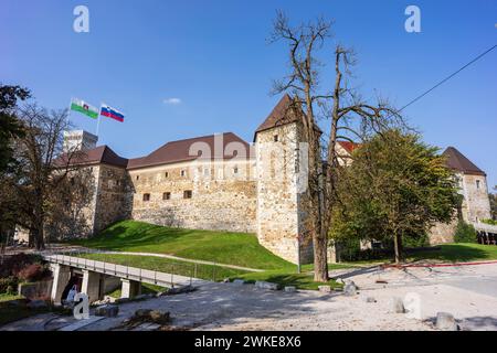 Castello e fortificazione di Lubiana, Lubiana, Slovenia, Europa centrale, Foto Stock