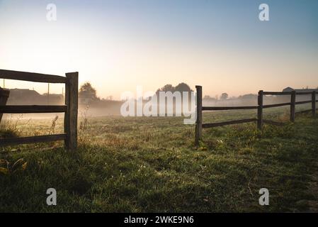 Paesaggio mattutino all'alba. Un campo con erba verde è coperto di nebbia. In primo piano una recinzione di legno Foto Stock
