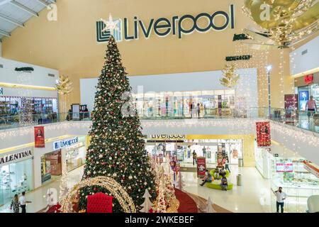 Merida Mexico, zona Industrial, atrio del centro commerciale Galerias Merida, interni, decorazioni ornamentali con alberi di Natale, grandi magazzini Liverpool Foto Stock