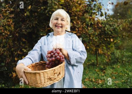 Raccolta dell'uva. L'anziano agricoltore ha in mano uve rosa appena raccolte in un vigneto. Bella donna con grappoli d'uva rossa nelle giornate di sole. Foto Stock