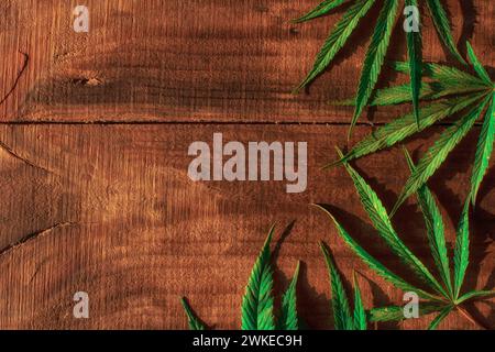 Foglie di canapa su fondo di legno Foto Stock