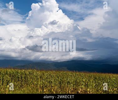 un campo erboso sotto un cielo nuvoloso con montagne in lontananza a cividale del friuli Foto Stock