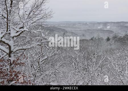 Cime innevate con un albero innevato in prima linea Foto Stock