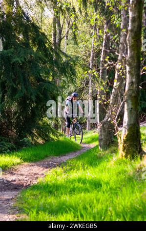 Ciclista di montagna con un giro dolce nella foresta di Gisburn, Lancashire, Inghilterra Foto Stock
