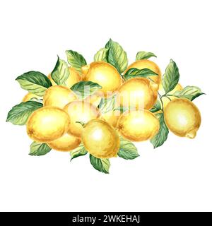 Composizione dei limoni con foglie. Agrumi estivi isolati. Acquerello illustrazione disegnata a mano di mangiare sano. Modello per inviti e scheda, pr Foto Stock