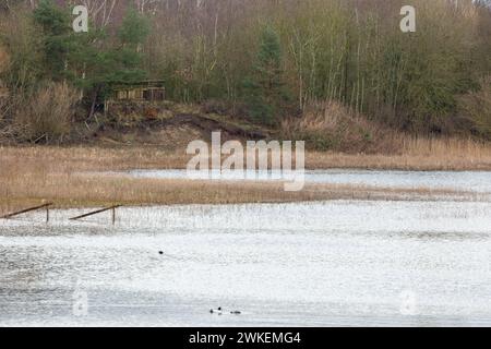 Moore Nature Reserve Penketh, Cheshire, Warrington Foto Stock