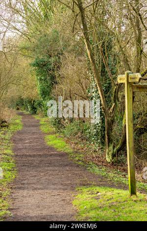 Un sentiero attraverso la Moore Nature Reserve, Penketh, Cheshire, Warrington Foto Stock