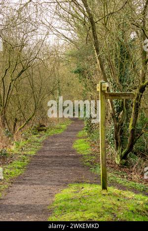 Un sentiero attraverso la Moore Nature Reserve, Penketh, Cheshire, Warrington Foto Stock