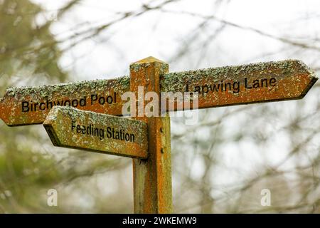 Moore Nature Reserve Penketh, Cheshire, Warrington Foto Stock
