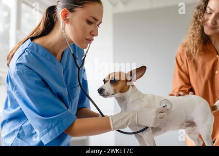 Il veterinario donna incentrata esamina il cane con uno stetoscopio, assiste il proprietario Foto Stock