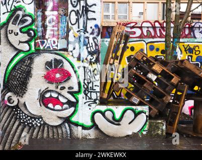 Alcune immagini molto sorprendenti dei superbi graffati del parco di skateboard Reykjavik. Foto Stock