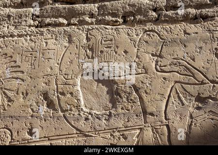 Il Tempio di Beit el-Wali, nuova Kalabsha, Lago Nasser, Egitto Foto Stock