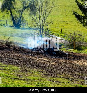 Bruciare muckheap in un prato Foto Stock