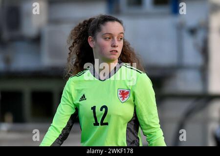 Carmarthen, Galles. 27 novembre 2022. Portiere Soffia Kelly della FAW Girls Academy South Under 16 durante la partita della FAW Academy South Under 14 League tra Carmarthen Town Academy Under 14 e FAW Girls Academy South Under 16 al Richmond Park di Carmarthen, Galles, Regno Unito il 27 novembre 2022. Crediti: Duncan Thomas/Majestic Media. Foto Stock