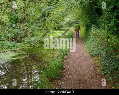Percorrendo il Tamigi Path nel Wiltshire UK a pochi chilometri dalla sorgente Foto Stock