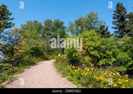 Un sentiero a piedi si snoda in salita, delimitato da fiori gialli, cespugli verdi e alberi, in una giornata di sole sotto un cielo azzurro e limpido. Foto Stock