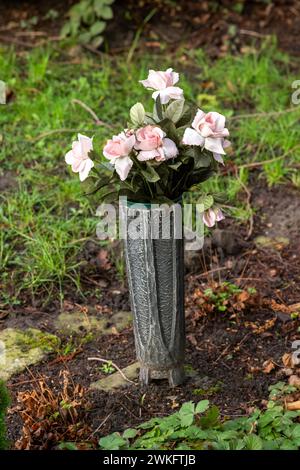 bellissime rose rosa in vaso Foto Stock