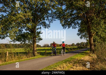 Ciclista, tour in bicicletta nella riserva naturale di Dingdener Heide, brughiere e brughiere, a nord del villaggio di Dingden, appartiene al culto di Hamminkeln Foto Stock